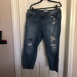 Torrid Distressed Jeans